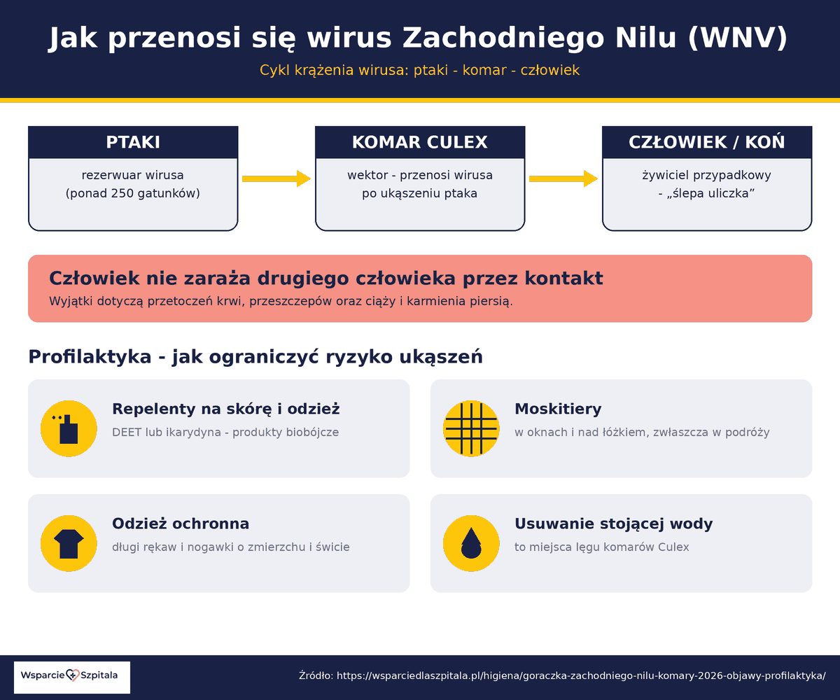 Schemat przenoszenia wirusa Zachodniego Nilu w układzie ptak-komar-człowiek oraz zasady profilaktyki przeciw komarom